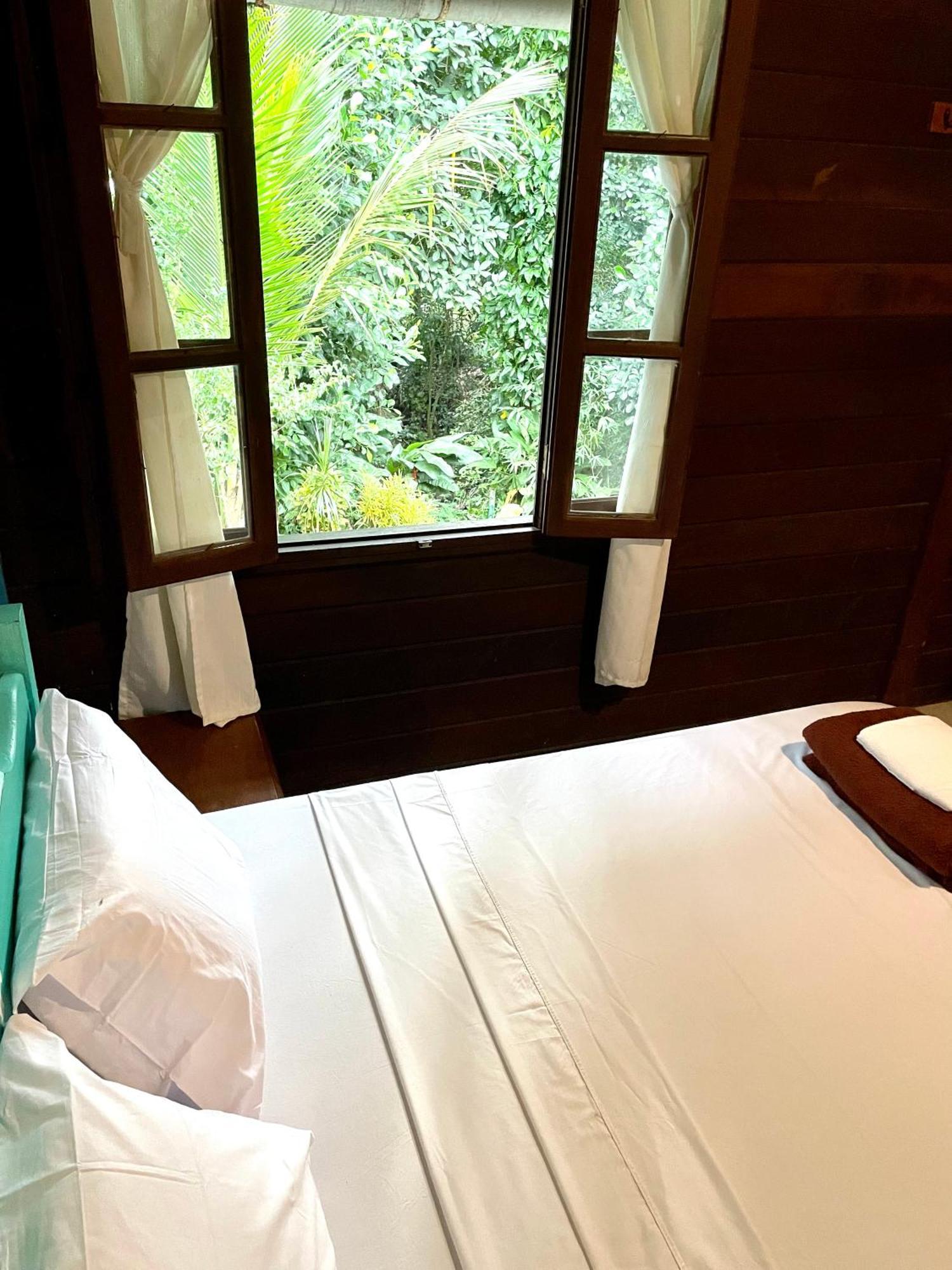 Casa Selva - Vila Do Abraao - Ilha Grande Extérieur photo